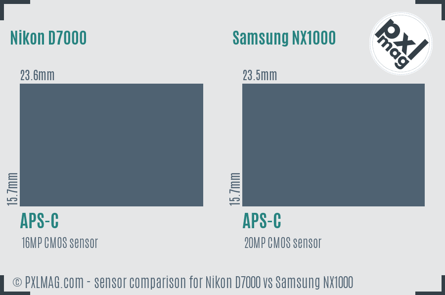 Nikon D7000 vs Samsung NX1000 sensor size comparison