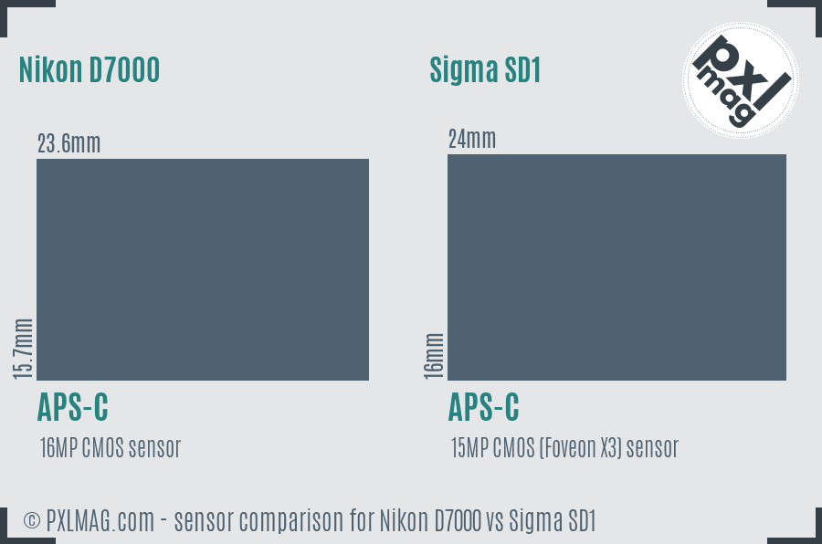 Nikon D7000 vs Sigma SD1 sensor size comparison