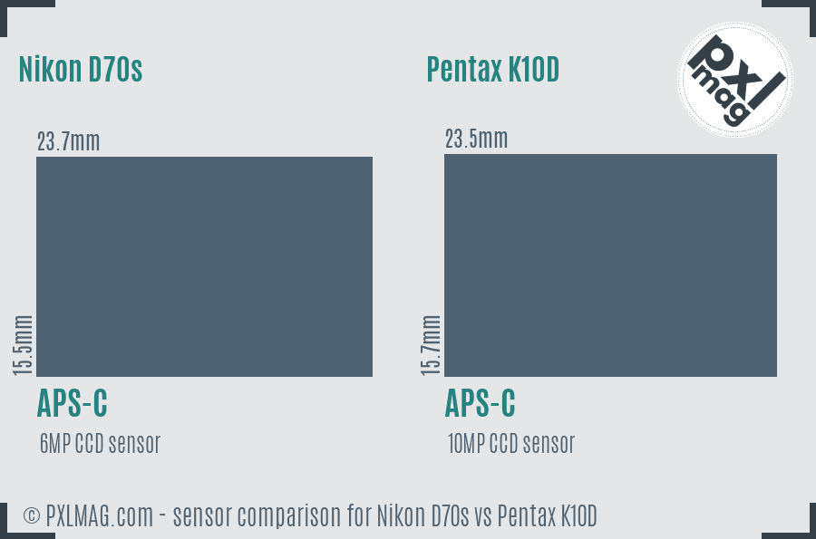 Nikon D70s vs Pentax K10D sensor size comparison