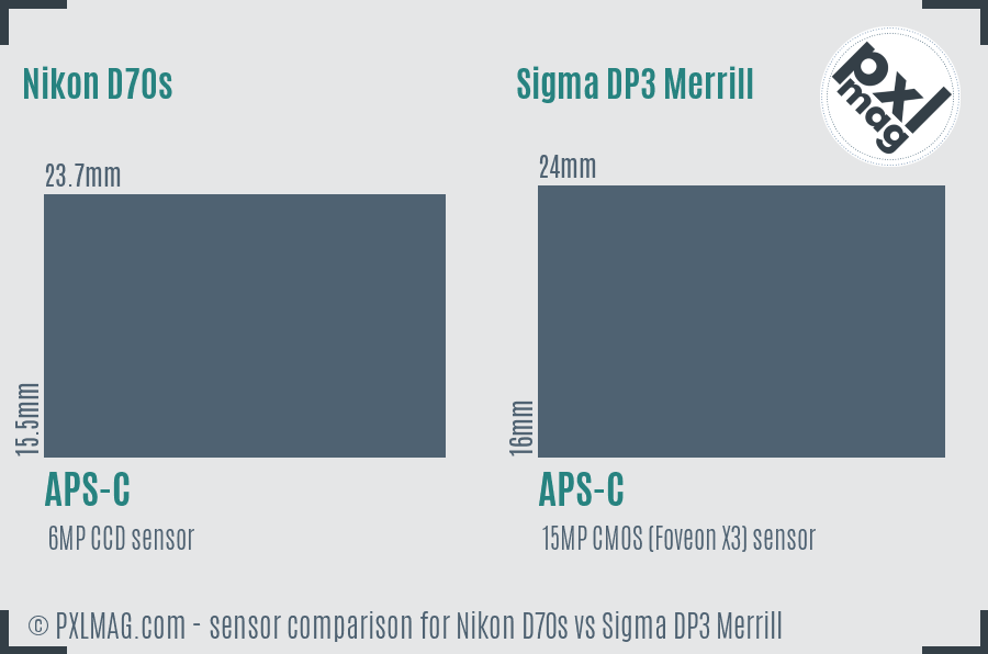 Nikon D70s vs Sigma DP3 Merrill sensor size comparison