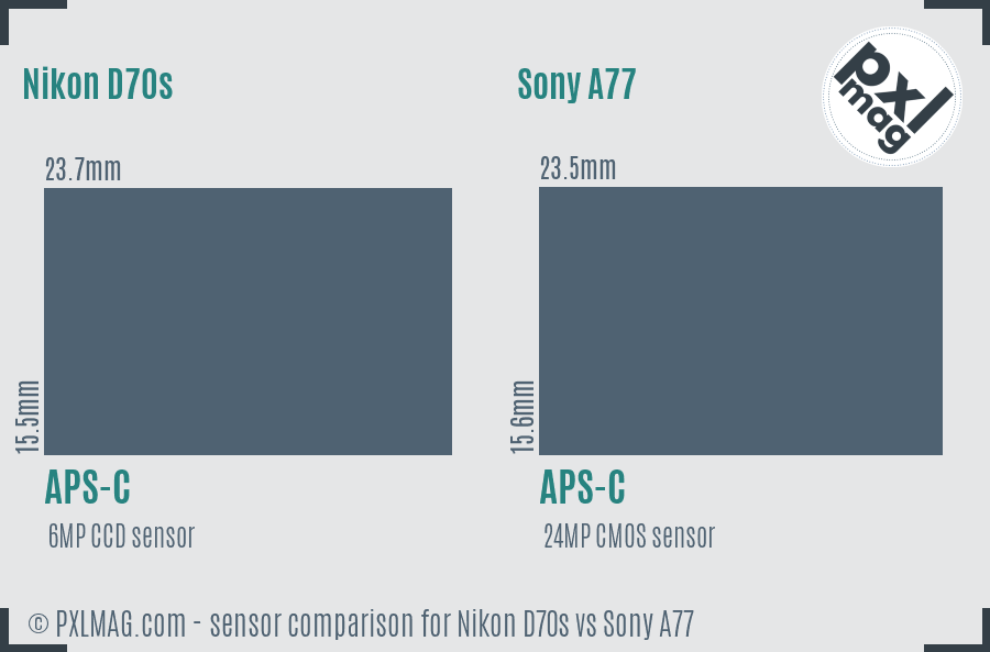 Nikon D70s vs Sony A77 sensor size comparison