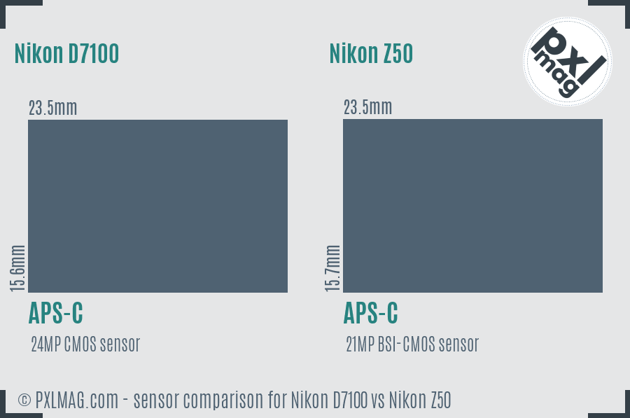 Nikon D7100 vs Nikon Z50 sensor size comparison
