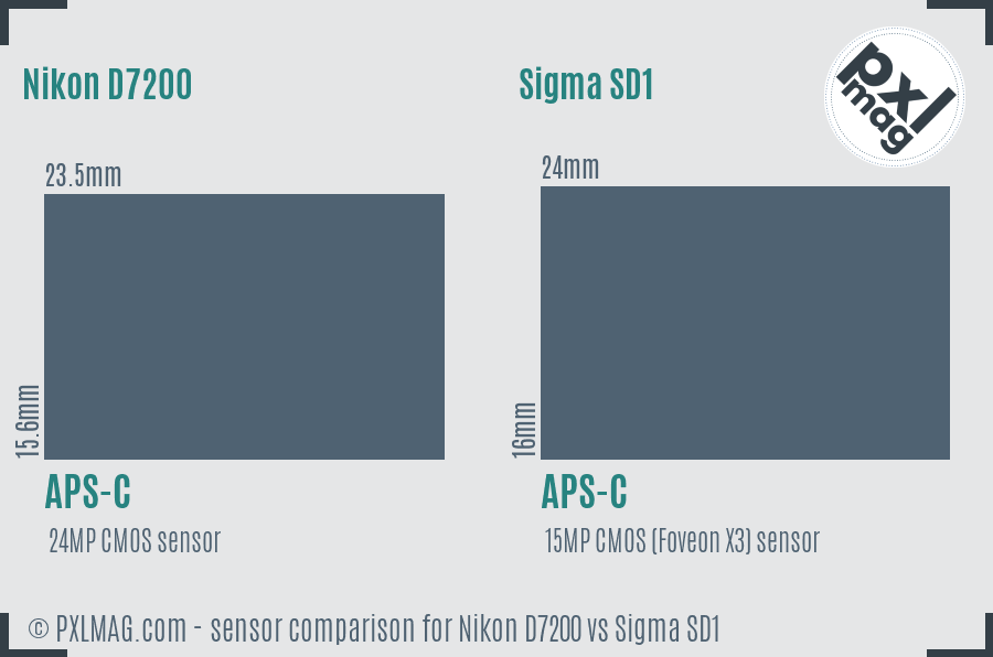 Nikon D7200 vs Sigma SD1 sensor size comparison