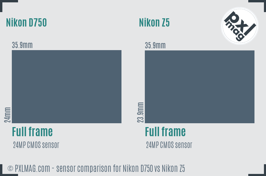 Nikon D750 vs Nikon Z5 sensor size comparison