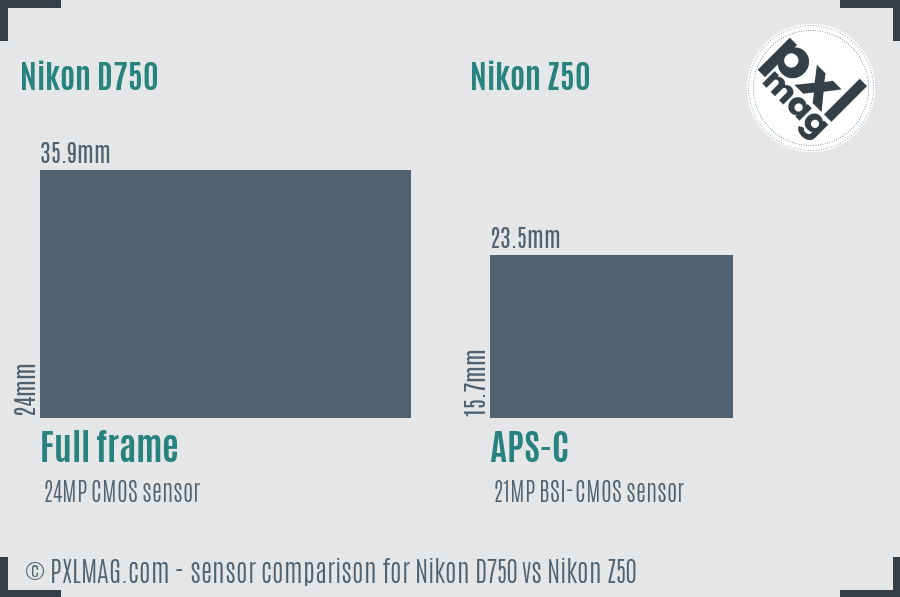 Nikon D750 vs Nikon Z50 sensor size comparison