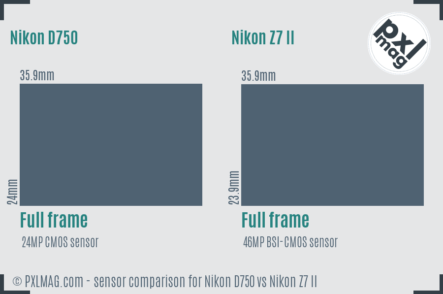 Nikon D750 vs Nikon Z7 II sensor size comparison