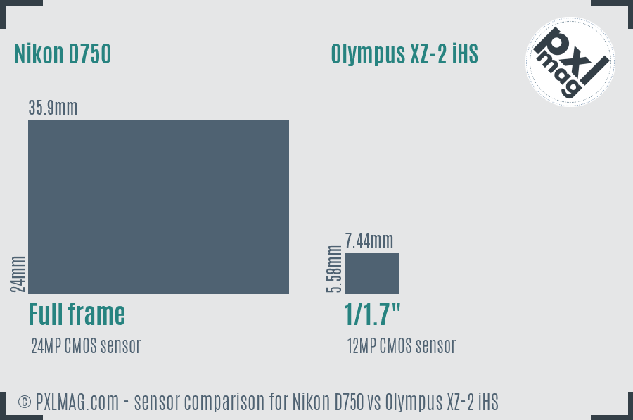 Nikon D750 vs Olympus XZ-2 iHS sensor size comparison