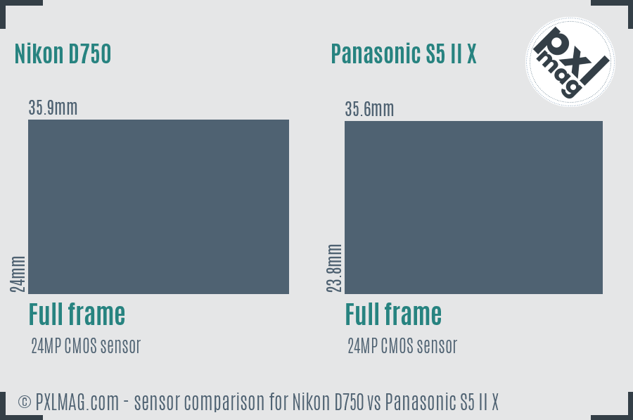 Nikon D750 vs Panasonic S5 II X sensor size comparison