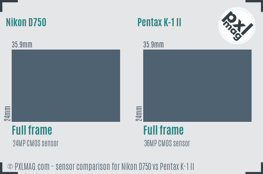 Nikon D750 vs Pentax K-1 II sensor size comparison