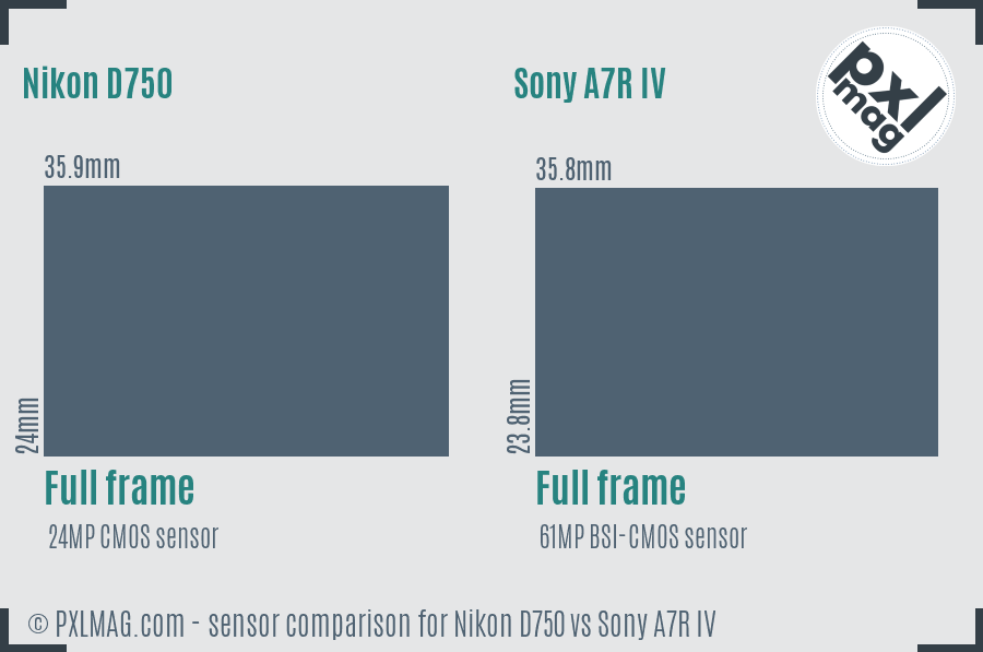 Nikon D750 vs Sony A7R IV sensor size comparison