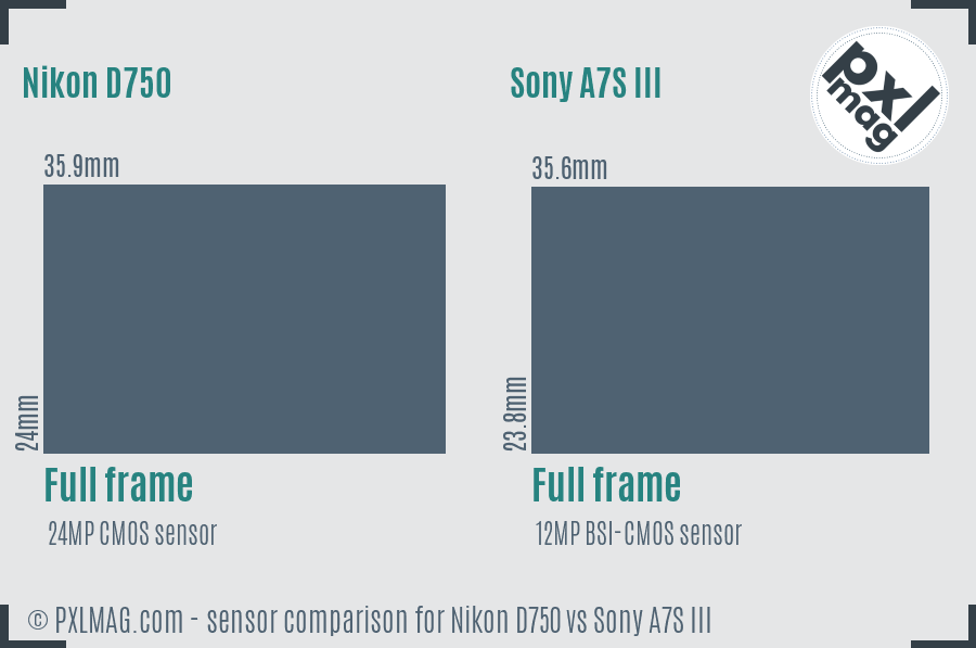 Nikon D750 vs Sony A7S III sensor size comparison