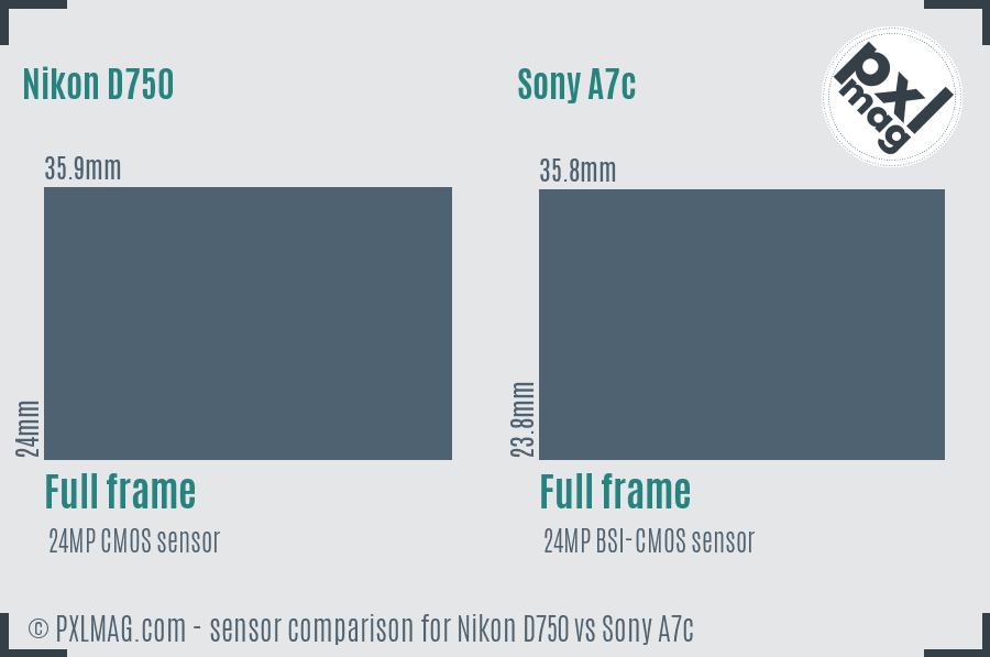 Nikon D750 vs Sony A7c sensor size comparison