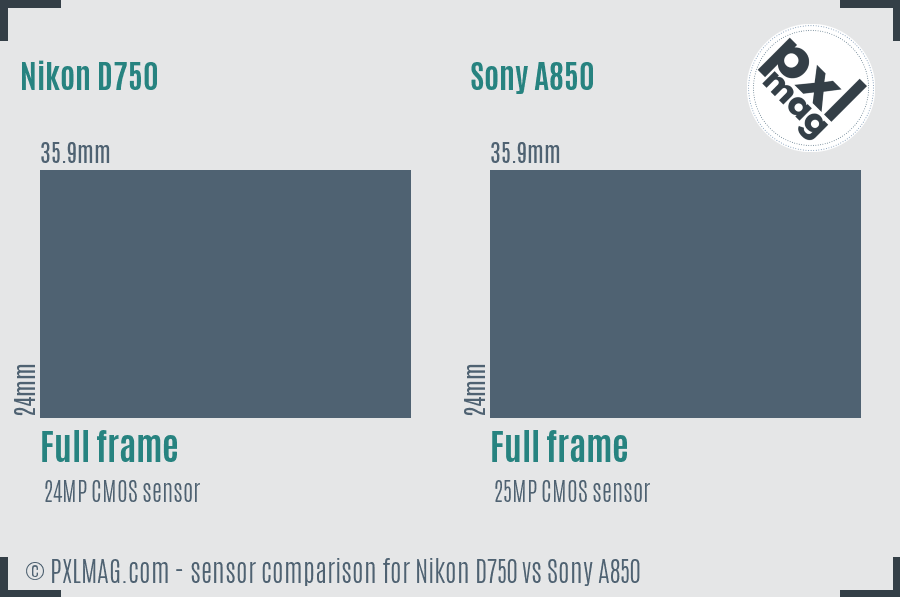 Nikon D750 vs Sony A850 sensor size comparison
