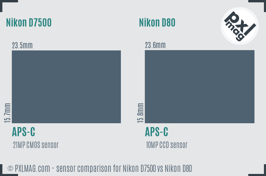 Nikon D7500 vs Nikon D80 sensor size comparison