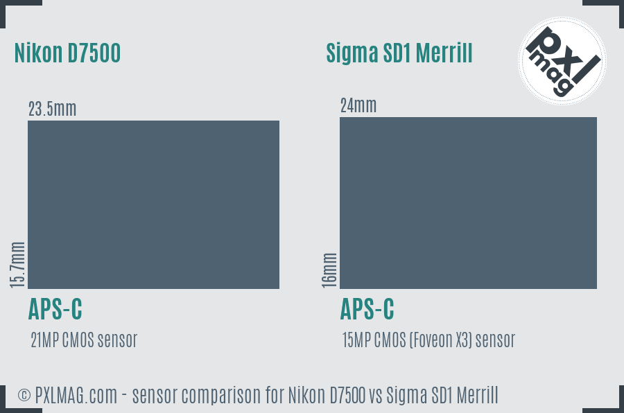 Nikon D7500 vs Sigma SD1 Merrill sensor size comparison