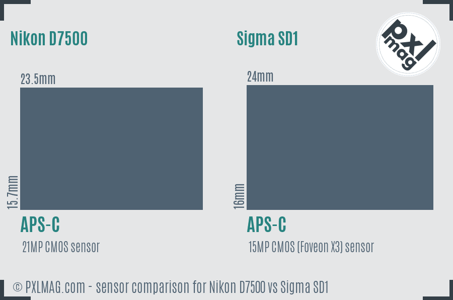 Nikon D7500 vs Sigma SD1 sensor size comparison