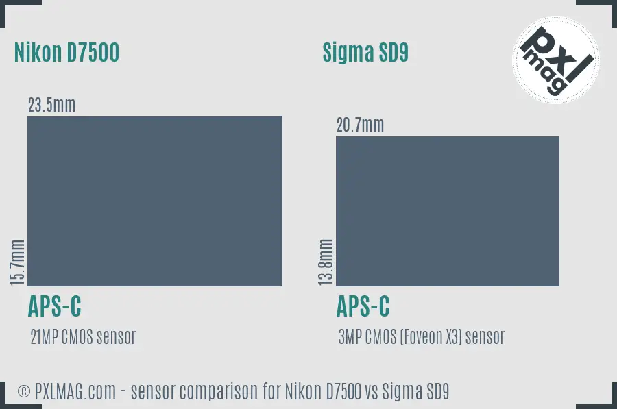 Nikon D7500 vs Sigma SD9 sensor size comparison