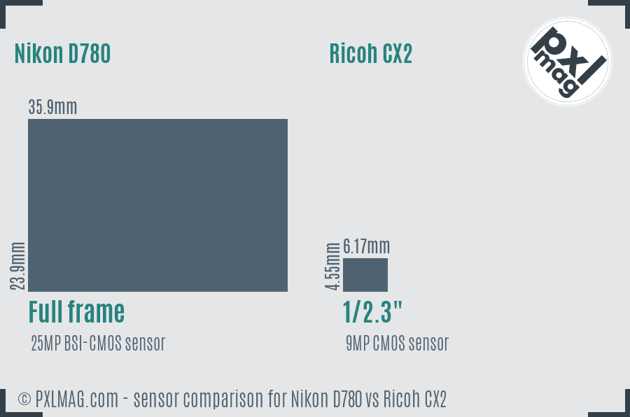 Nikon D780 vs Ricoh CX2 sensor size comparison