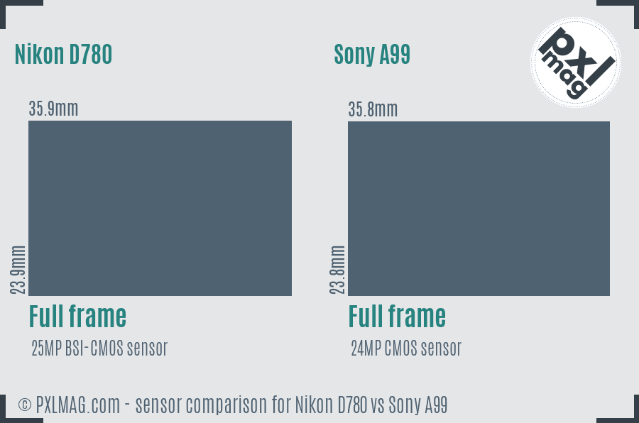 Nikon D780 vs Sony A99 sensor size comparison