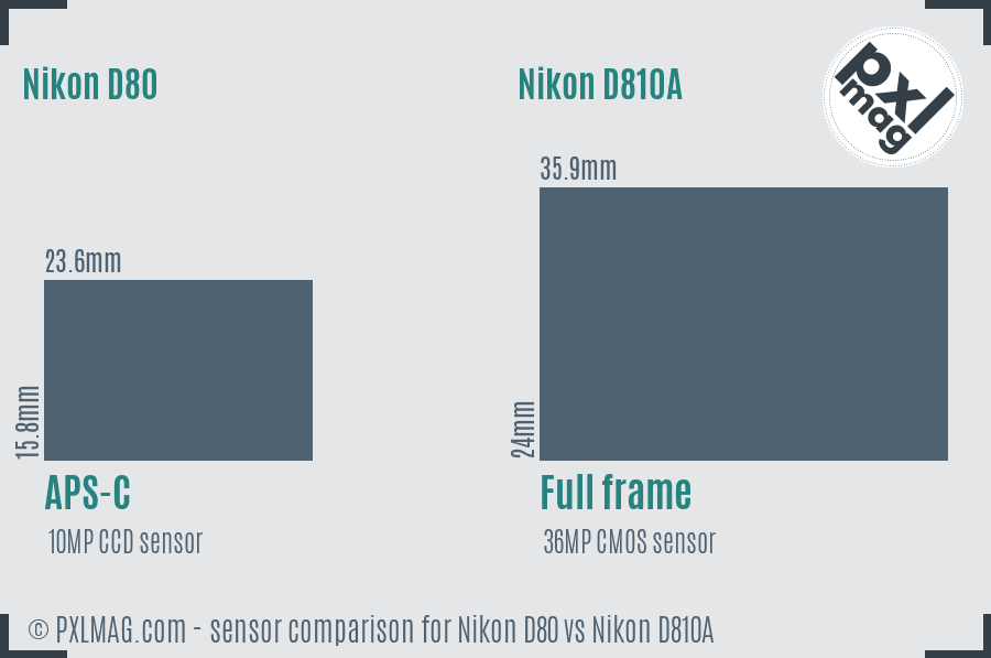 Nikon D80 vs Nikon D810A sensor size comparison
