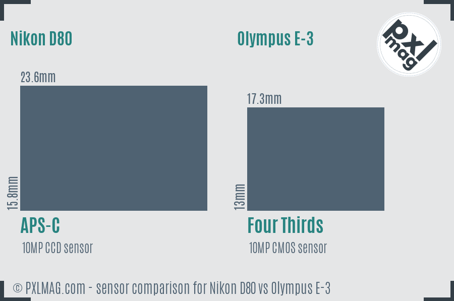 Nikon D80 vs Olympus E-3 sensor size comparison Nikon D80 vs Olympus E-3 sensor size comparison