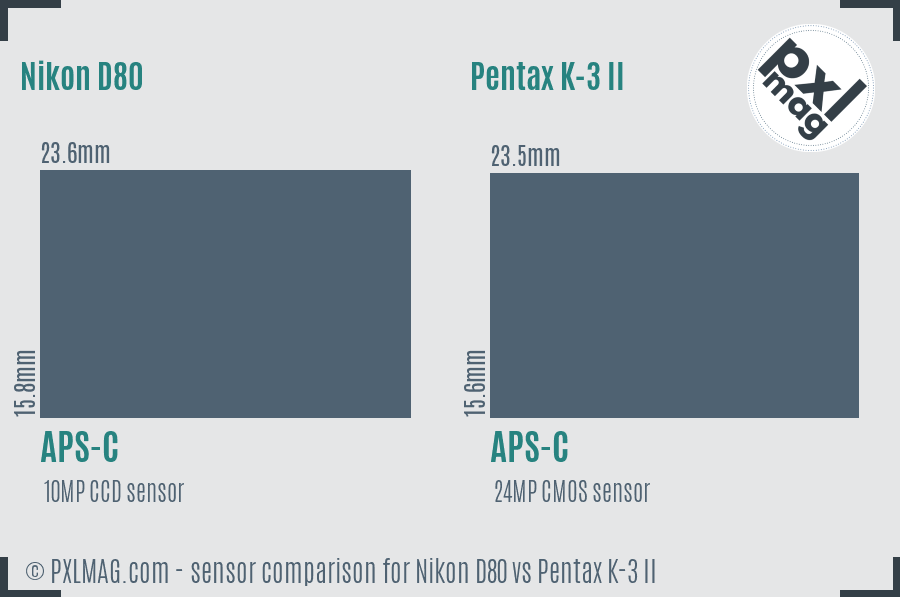 Nikon D80 vs Pentax K-3 II sensor size comparison