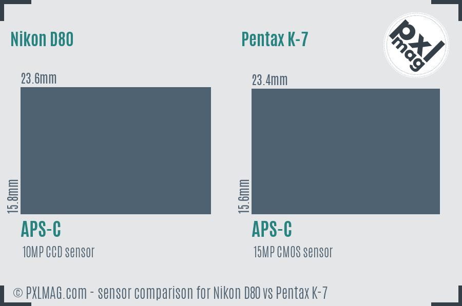 Nikon D80 vs Pentax K-7 sensor size comparison