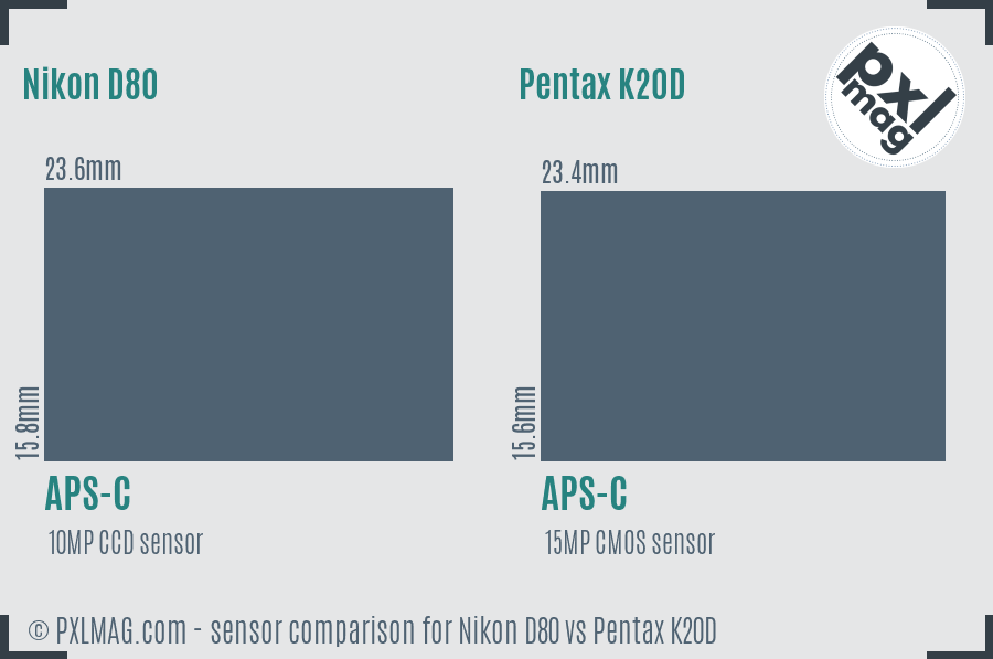 Nikon D80 vs Pentax K20D sensor size comparison