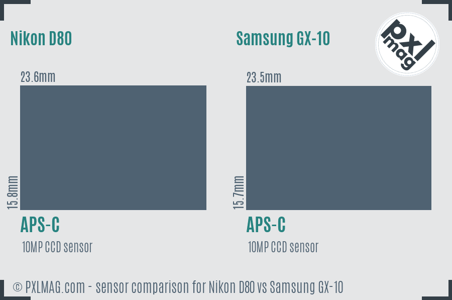 Nikon D80 vs Samsung GX-10 sensor size comparison