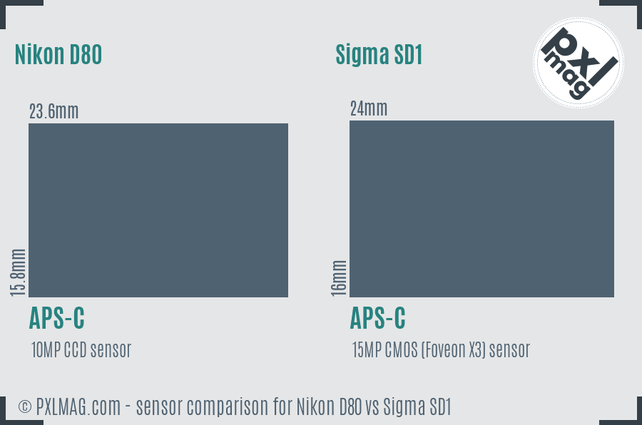 Nikon D80 vs Sigma SD1 sensor size comparison