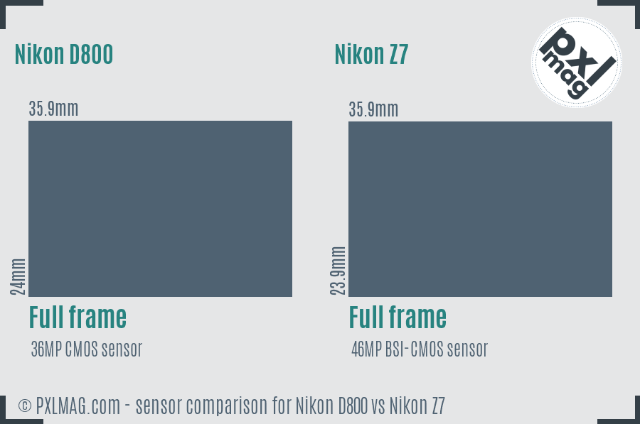 Nikon D800 vs Nikon Z7 sensor size comparison