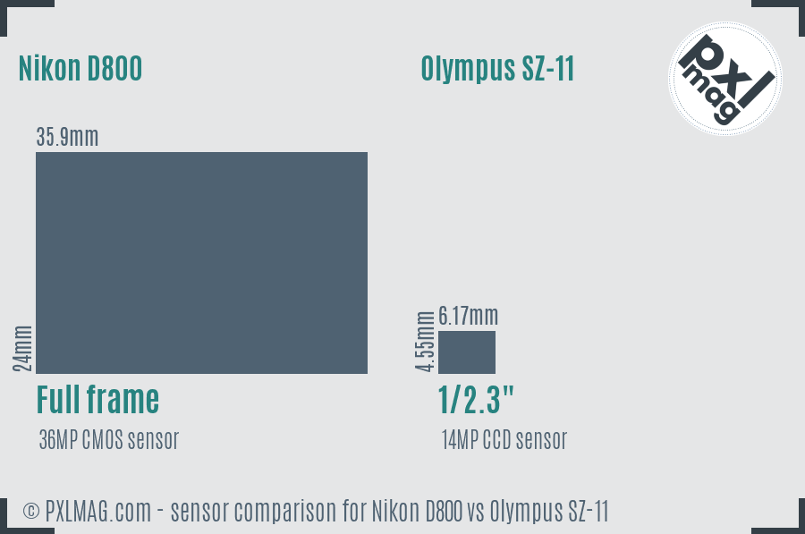 Nikon D800 vs Olympus SZ-11 sensor size comparison