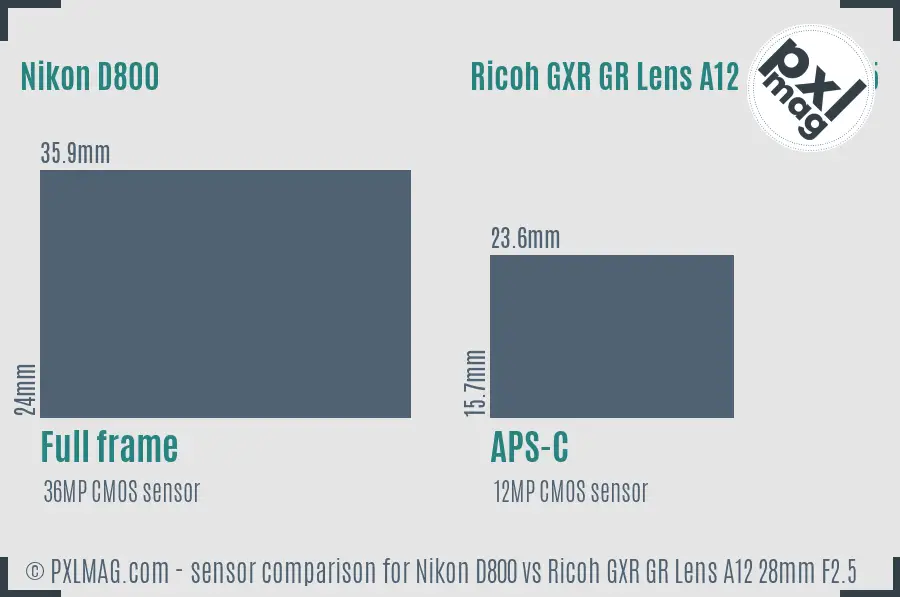 Nikon D800 vs Ricoh GXR GR Lens A12 28mm F2.5 sensor size comparison