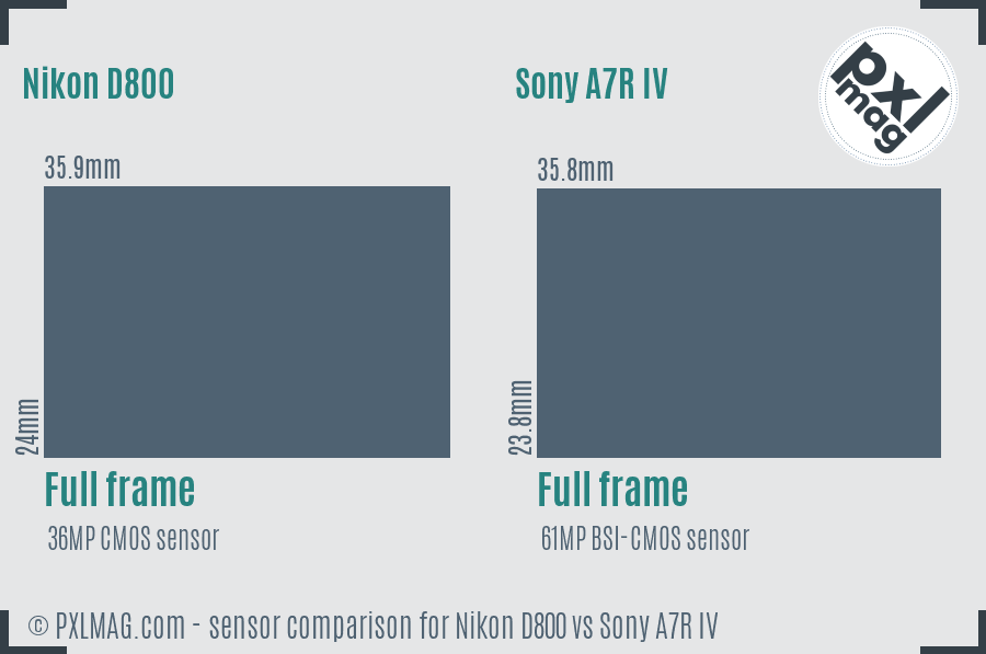 Nikon D800 vs Sony A7R IV sensor size comparison