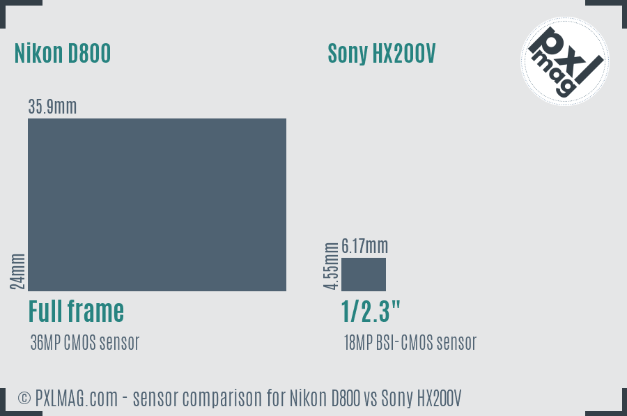 Nikon D800 vs Sony HX200V sensor size comparison