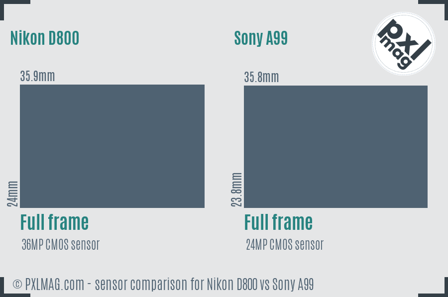 Nikon D800 vs Sony A99 sensor size comparison