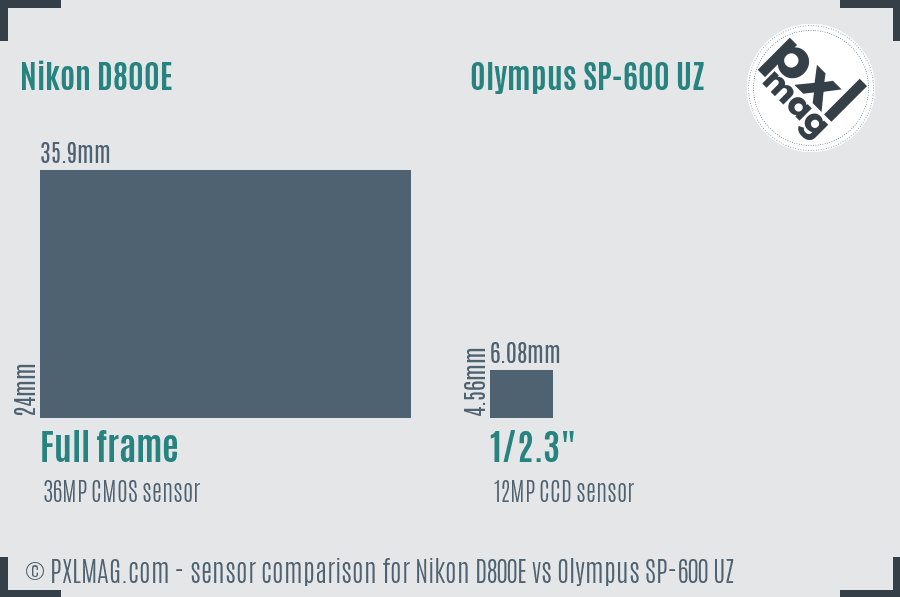 Nikon D800E vs Olympus SP-600 UZ sensor size comparison