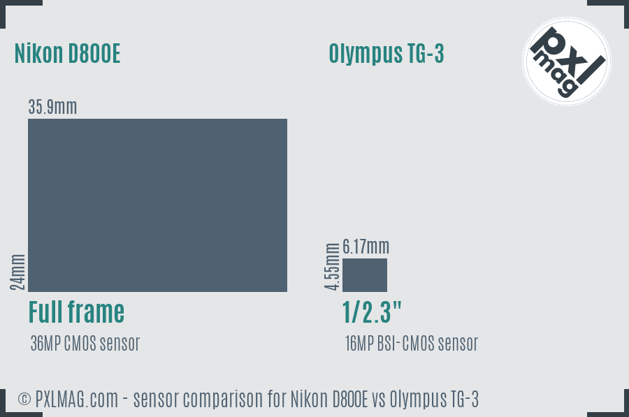 Nikon D800E vs Olympus TG-3 sensor size comparison