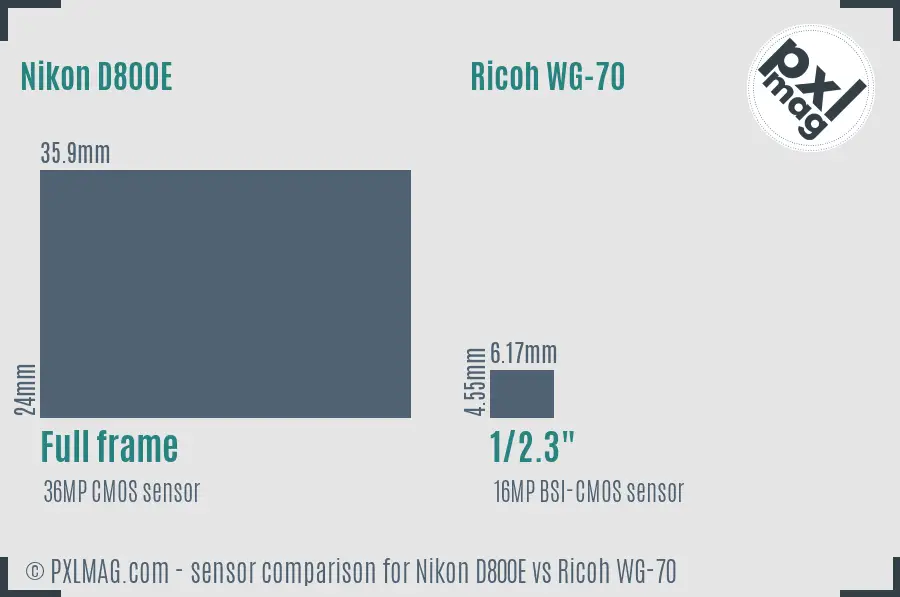 Nikon D800E vs Ricoh WG-70 sensor size comparison