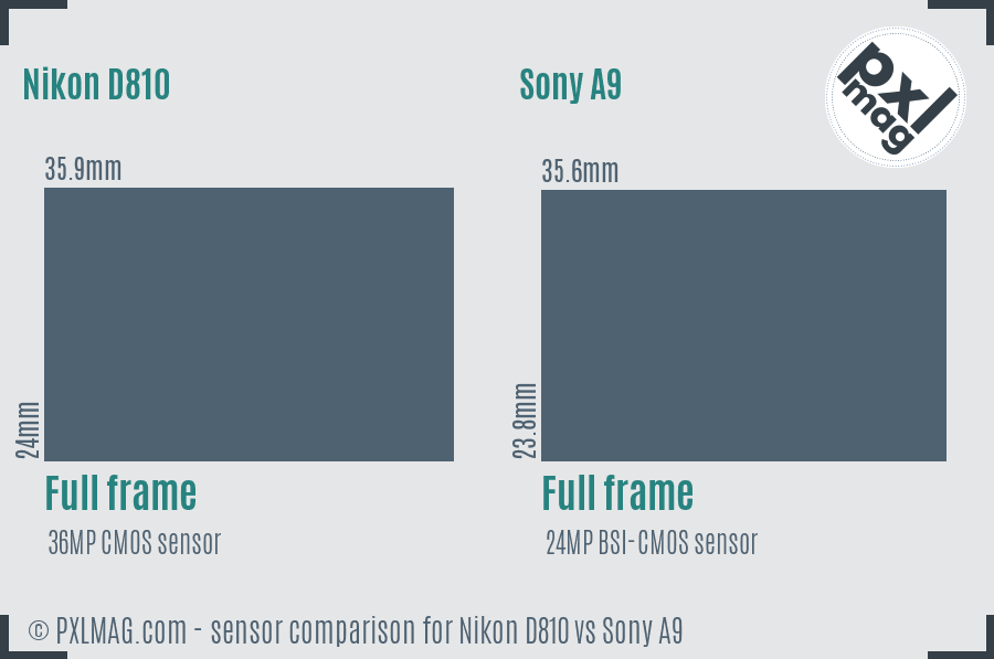 Nikon D810 vs Sony A9 sensor size comparison