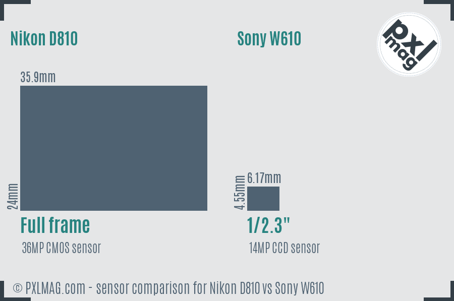 Nikon D810 vs Sony W610 sensor size comparison