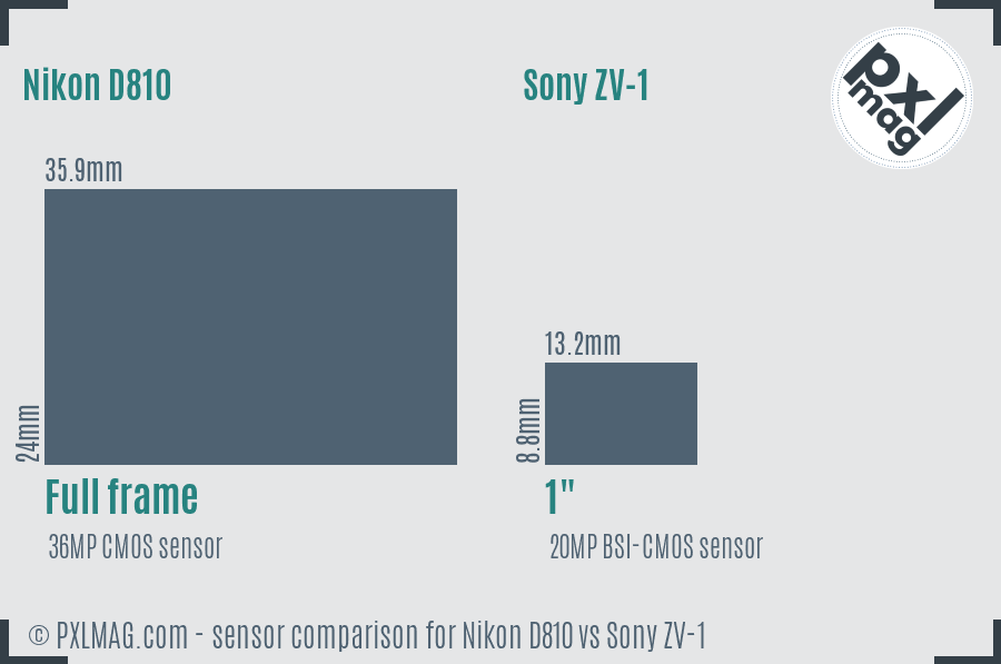 Nikon D810 vs Sony ZV-1 sensor size comparison