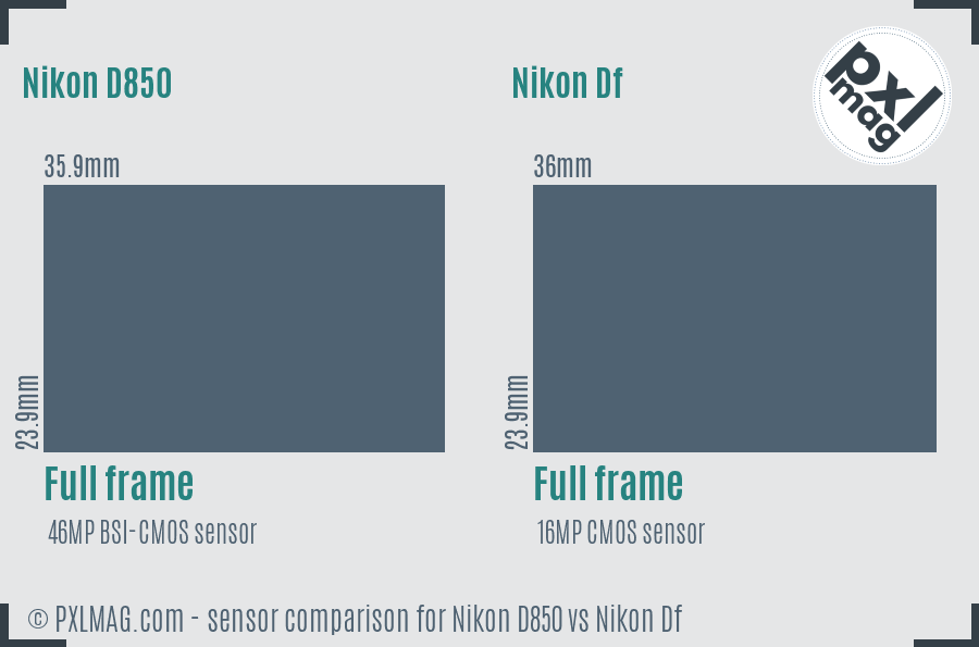 Nikon D850 vs Nikon Df sensor size comparison
