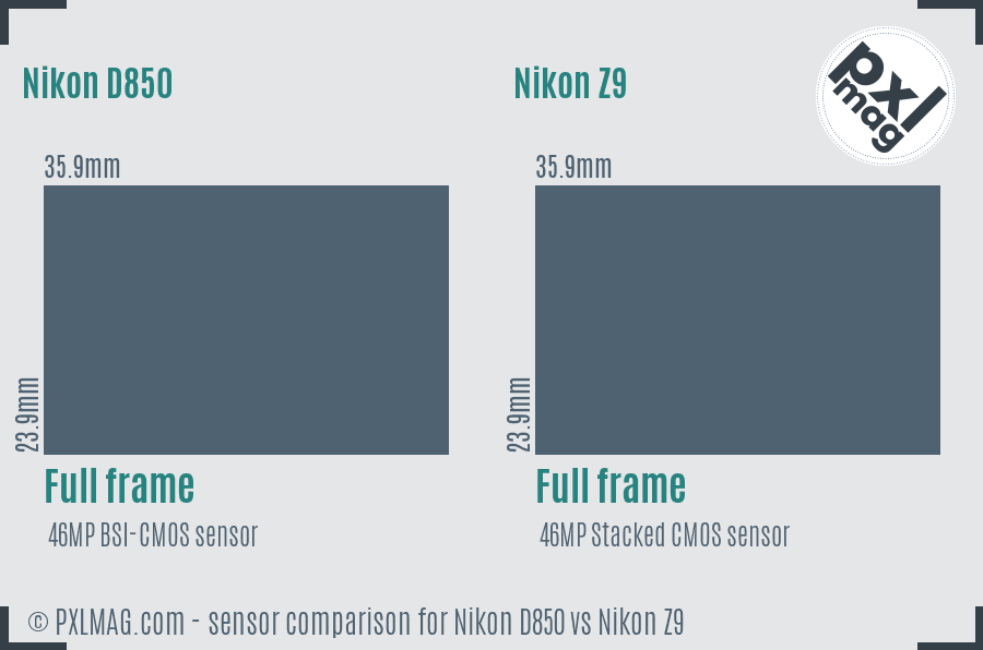 Nikon D850 vs Nikon Z9 sensor size comparison
