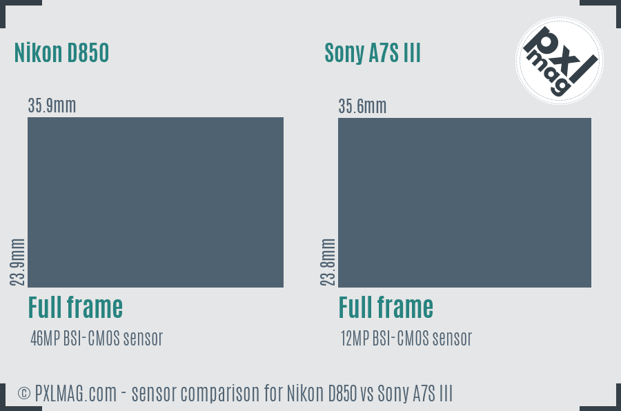 Nikon D850 vs Sony A7S III sensor size comparison