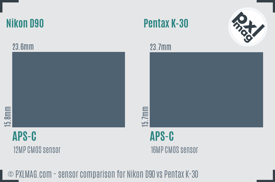 Nikon D90 vs Pentax K-30 sensor size comparison