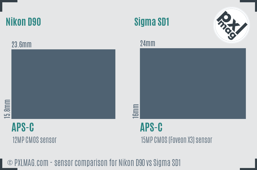 Nikon D90 vs Sigma SD1 sensor size comparison