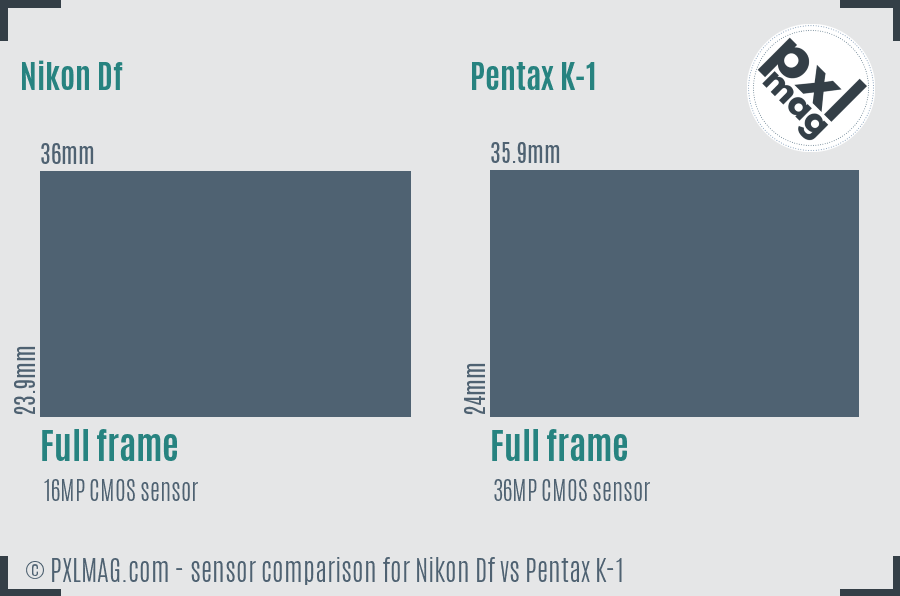 Nikon Df vs Pentax K-1 sensor size comparison