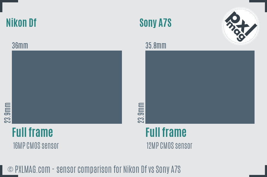 Nikon Df vs Sony A7S sensor size comparison Nikon Df vs Sony A7S sensor size comparison