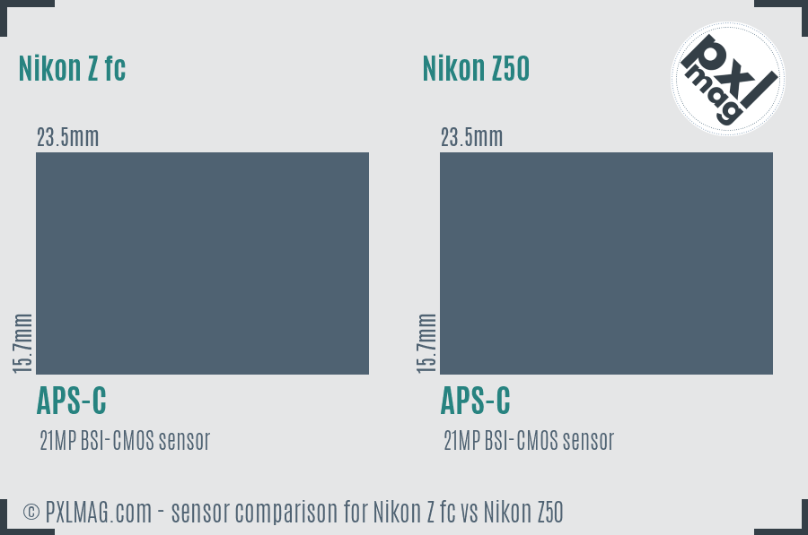 Nikon Z fc vs Nikon Z50 sensor size comparison
